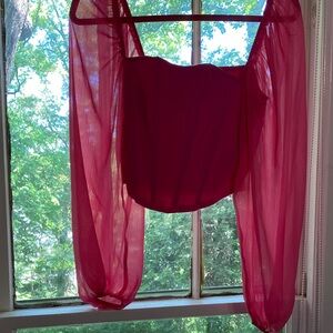 Sheer Long Sleeve Bodice Crop Top in Pink